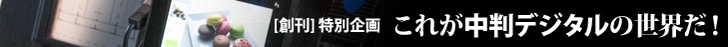 [創刊]特別企画　これが中判デジタルの世界だ！